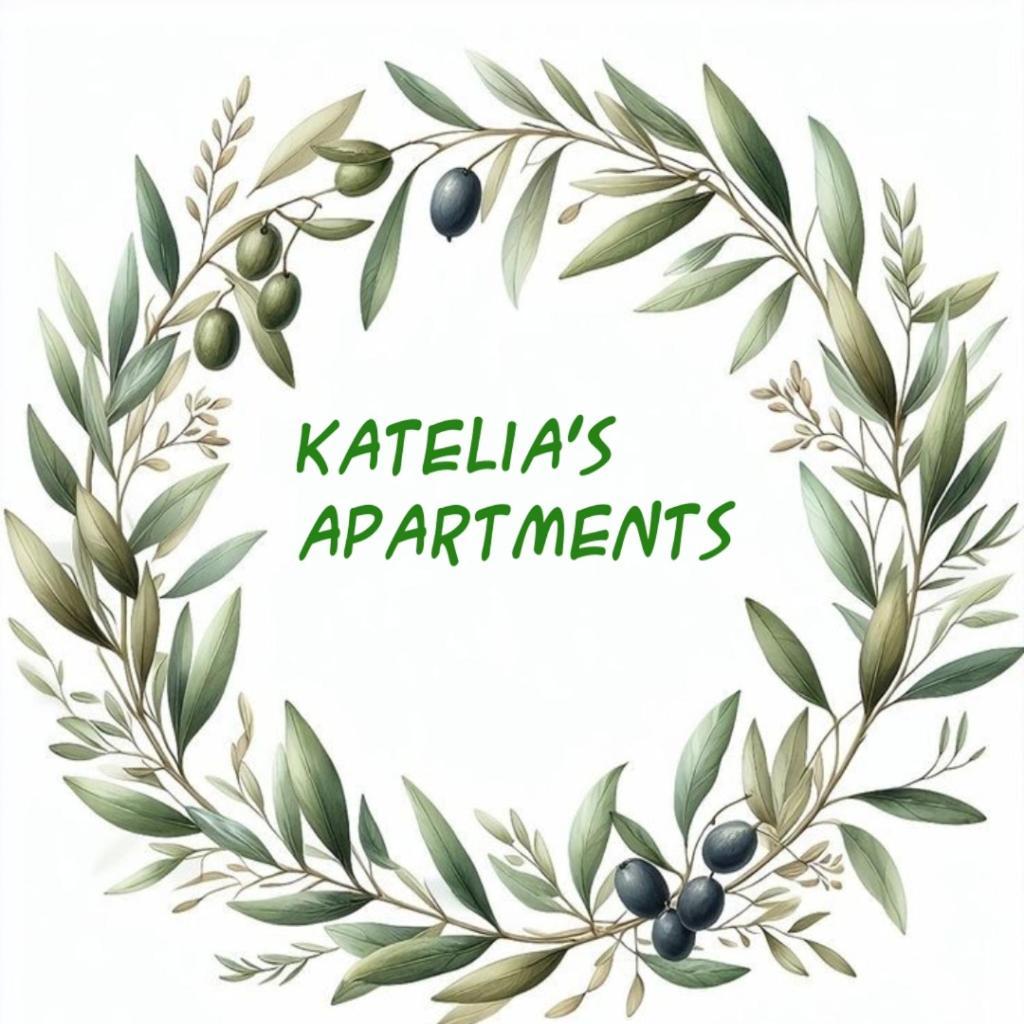 Katelia'S Apartments Almiropotamos Room photo